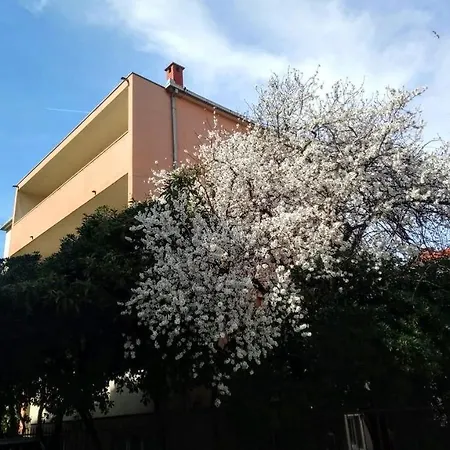 Appartement Symphony Veranda: Modern, New